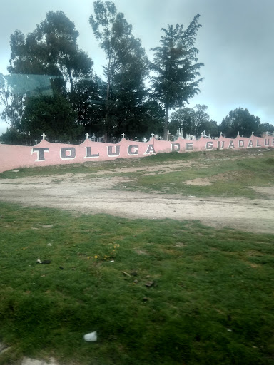 Panteón municipal "Toluca de Guadalupe" - Thumbnail