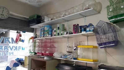 Maviş Akvaryum Pet Shop