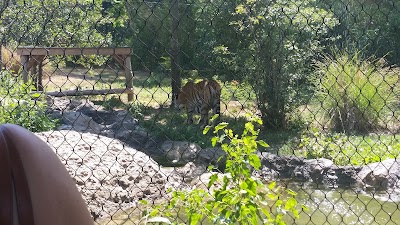 Photos of Franklin Park Zoo