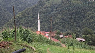 Photos of Hemşin Belediyesi