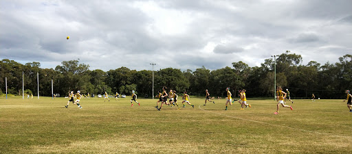 Caloundra Panthers - Thumbnail