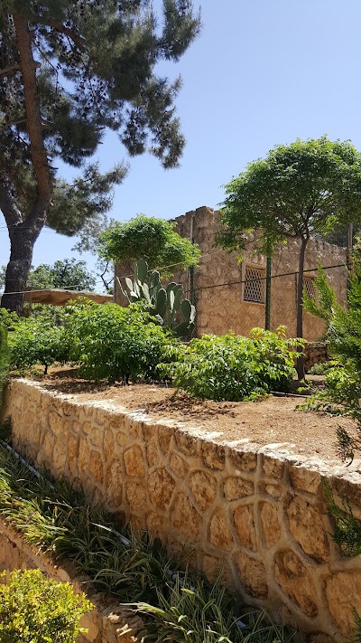 Photos of M7moud Center Salt