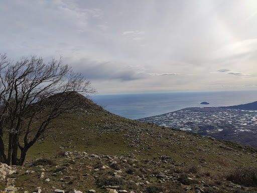 Monte Acuto - Visual