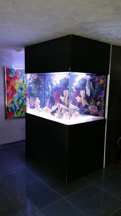 Dream Marine Aquarium Services