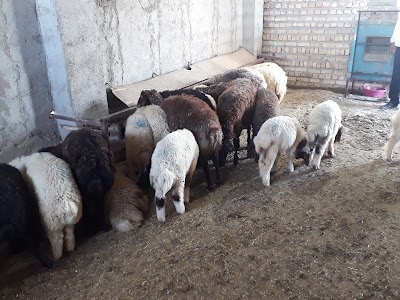 Photos of آزمایشگاه دکتر قلی زاده