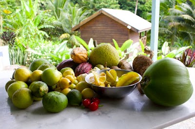 Photos of Beyond Vitality Nature Camp