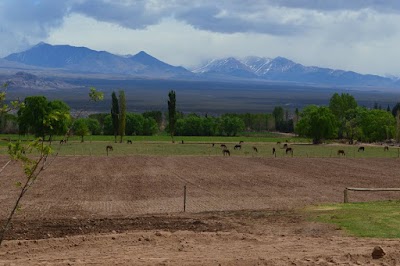 Photos of Ruinas de Hilario