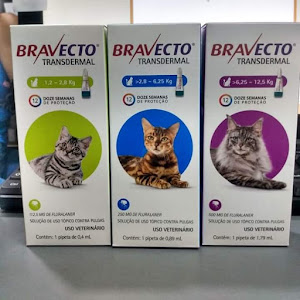 Clinica Veterinaria Olvet 5