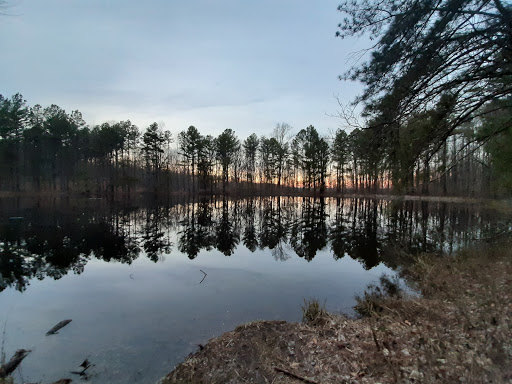 Terrill Ridge Cemetery - Thumbnail