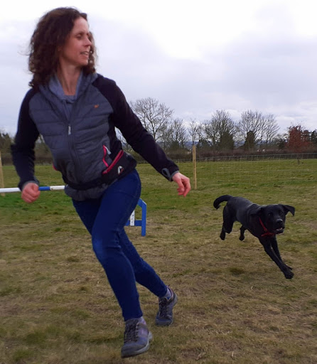 Bedford Dog Agility Arena - Thumbnail