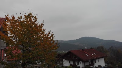 Photos of Apartments on Weberfeld
