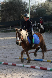 Photo n°20 de Les Poneys Du Petit Bois à Levens (Centre équestre)