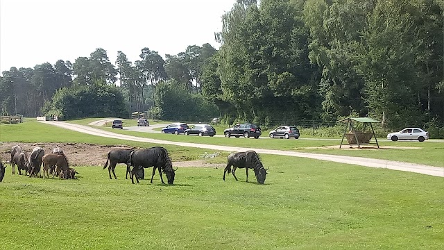 Serengeti-Park
