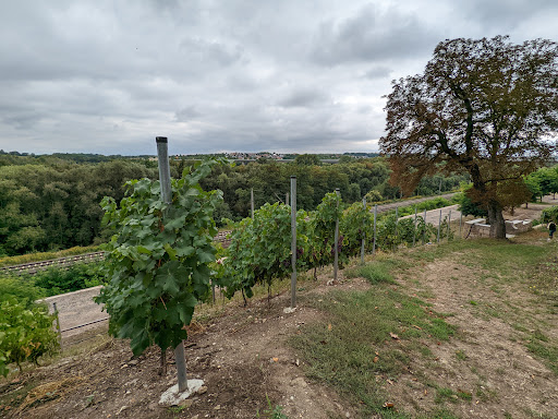 Rittergut Burgwerben - Thumbnail