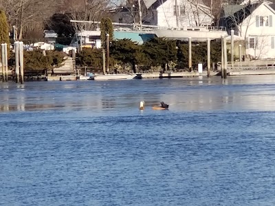 Barrington Police Cove Boat Ramp