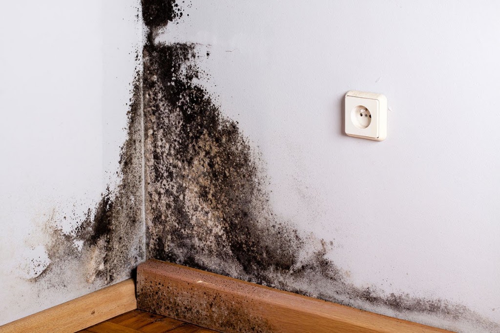 American Mold Experts MidWest photo