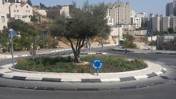 Gravel Driveway, Author: Yoav Livne