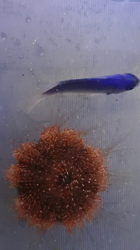 Engvej 3, 6600 Vejen