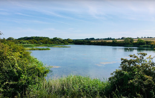 Target Pond