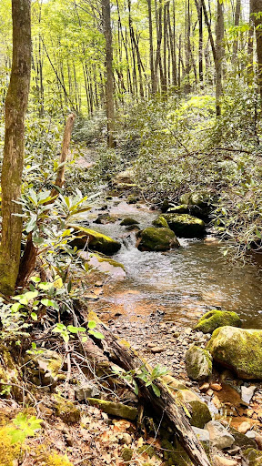 Pete's Branch Falls - Thumbnail