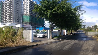 Photos of Pets Concern Mauritius
