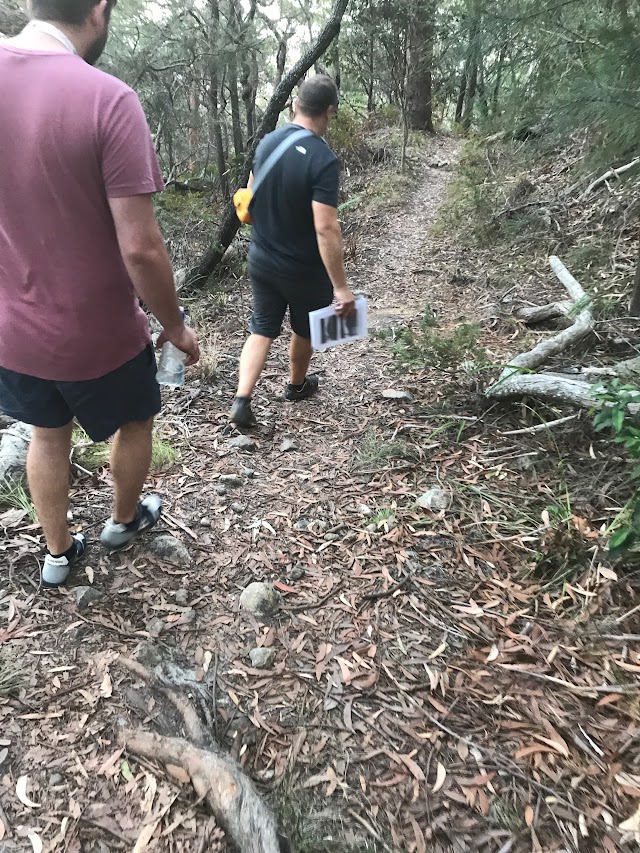 Tomaree Mountain Tours