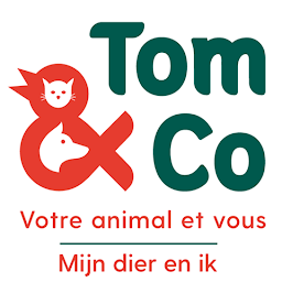 Photo n°22 de Tom&Co Gruchet-Le-Valasse à Gruchet-le-Valasse (Dresseur pour chiens)