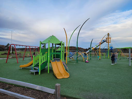 Jane D’ Amico Playground