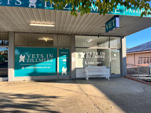 Vets in Zillmere - Thumbnail