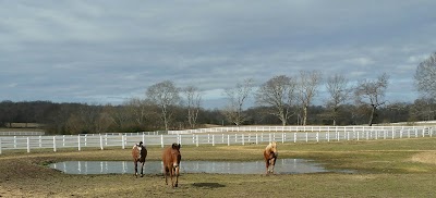 Photos of Clearview Horse Farm