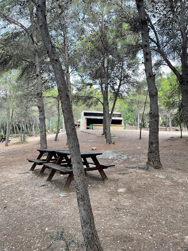 Picnic El Vedat