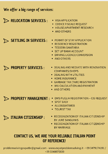 PSE (Problem Solving Expats) - Visual