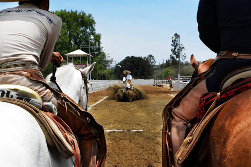 Lienzo Charro Santa Rosa - Thumbnail