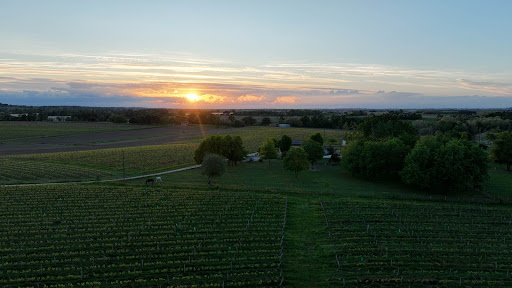 Photo de Le nid du Coucou à Cocumont (47250)