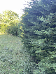 Photo n°4 de Oli’vert paysage à Folschviller (Paysagiste)