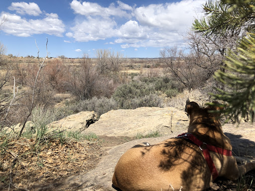 Mancos Valley Veterinary Hospital