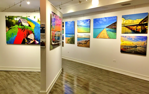 Gallery 36 - Visual