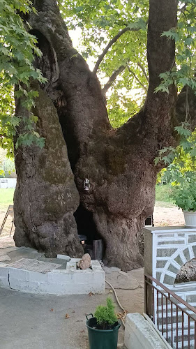 Δυο Βρύσες