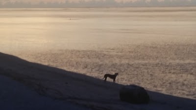 Photos of Playa Buen Hombre
