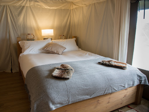 Catchpenny Safari Lodges Gallery - United Kingdom