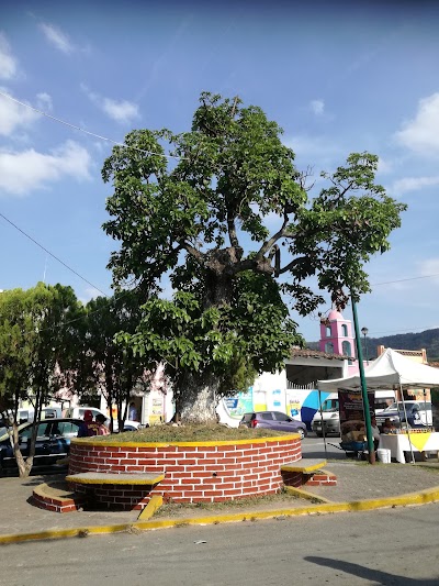 Photos of Aldea Jalcomulco