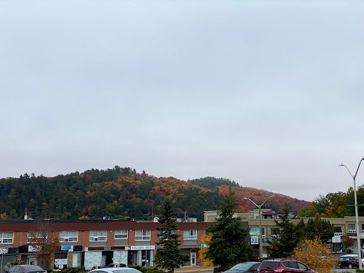 Camillus Centre - Visual