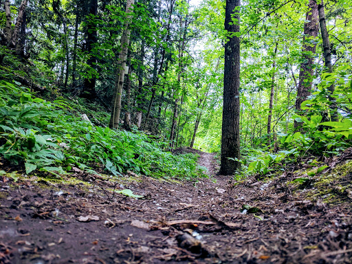 Pileated Woods Trail System