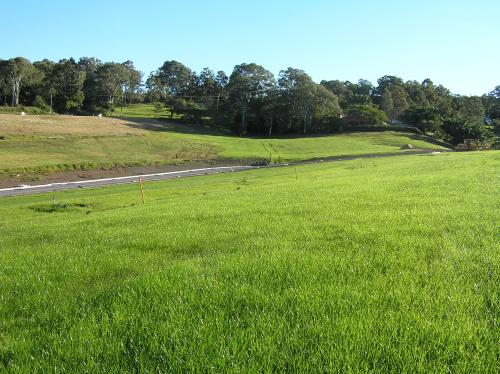Hydromulch Solutions - Visual