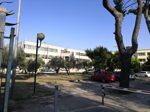 Dipartimento di Scienze Agrarie, Alimenti, Risorse Naturali e Ingegneria (DAFNE) - Università di Foggia - Thumbnail
