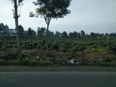 Photos of El Portal de las Gemelas