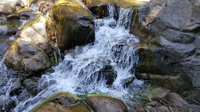 Goldern of WATERFALL