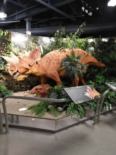 Heritage Discovery Centre - Visual