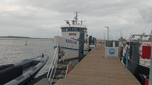 MS Karoline