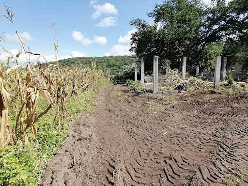 Gardin Botánico Yoliztli-Mixtenehuan - Thumbnail